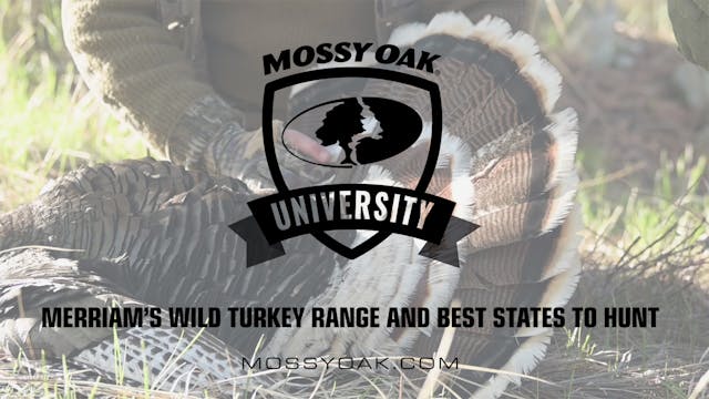 Merriam’s Wild Turkey Range and Best ...