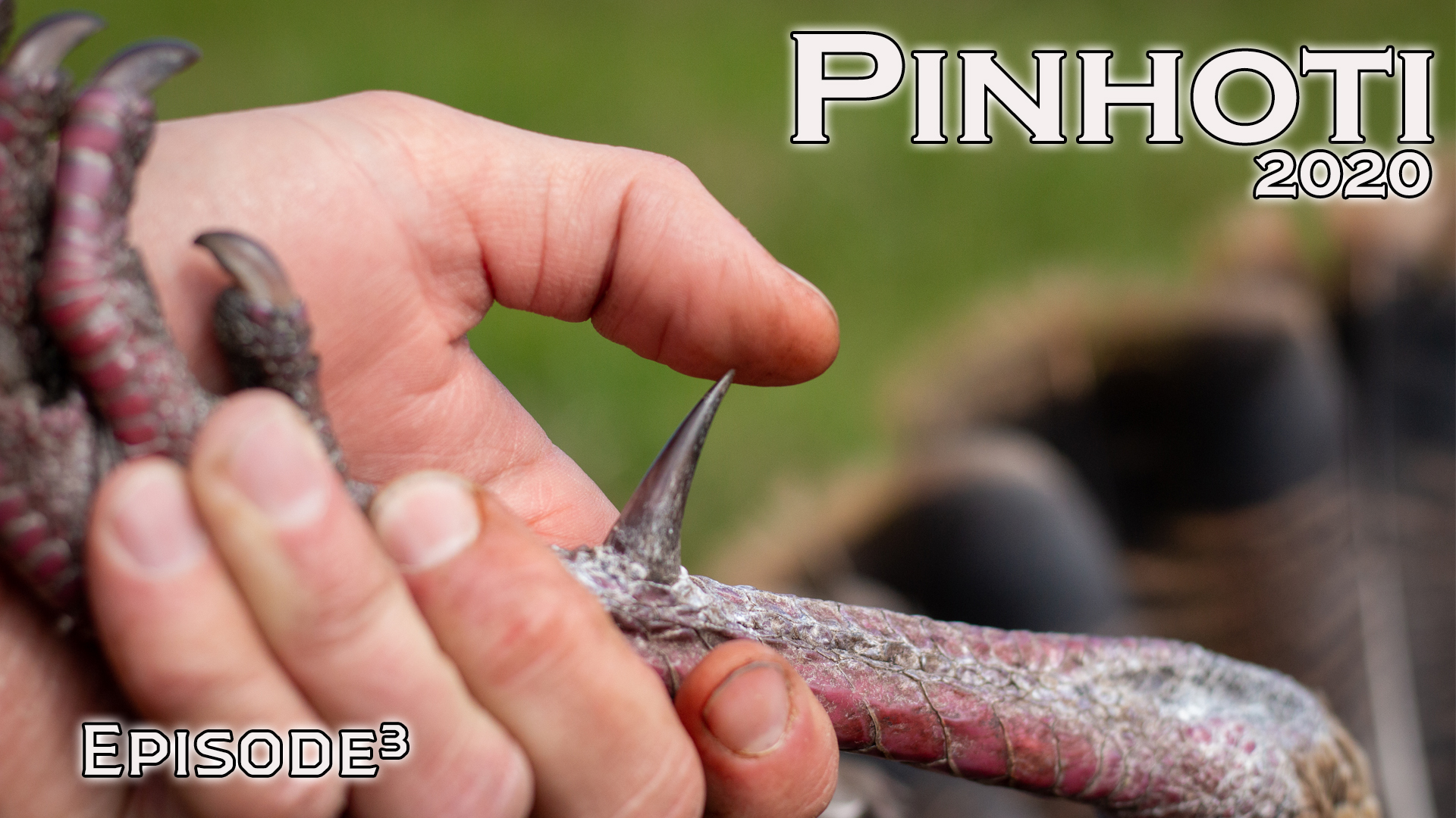 Pinhoti 2020 Ep 3 • Pinhoti Project