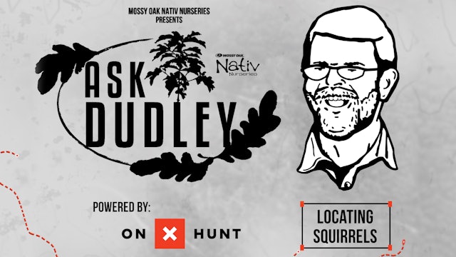 Nativ Nurseries' Ask Dudley • Locating Squirrels