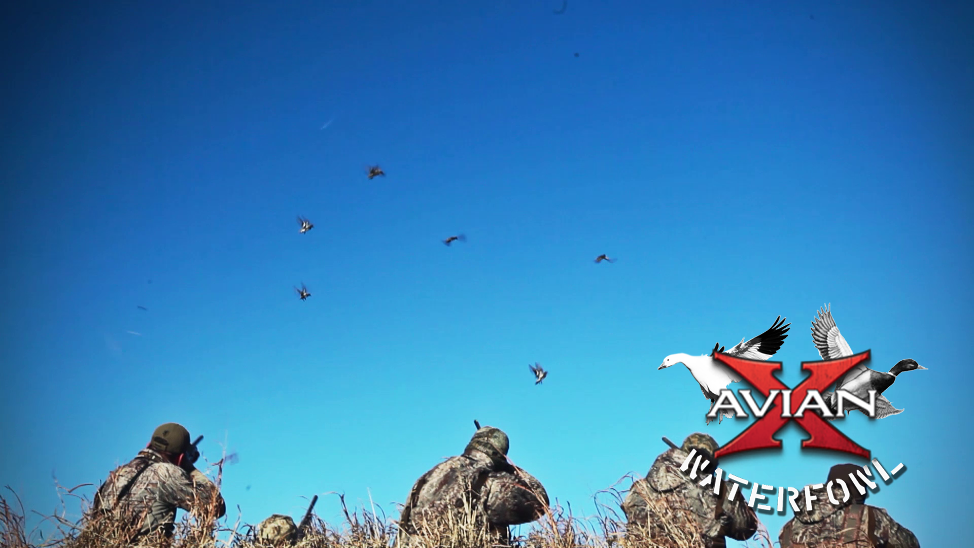 Tornado Alley Waterfowl • Avian X Waterfowl