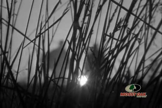 The Biggest Buck That Ever Lived • The Largest Buck to One Man