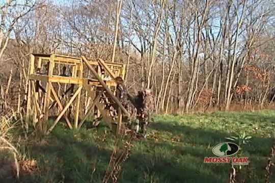 Mis-Hap • Home Away From Home