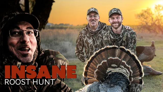 Roosted = Roasted: Chaos at the Torna...