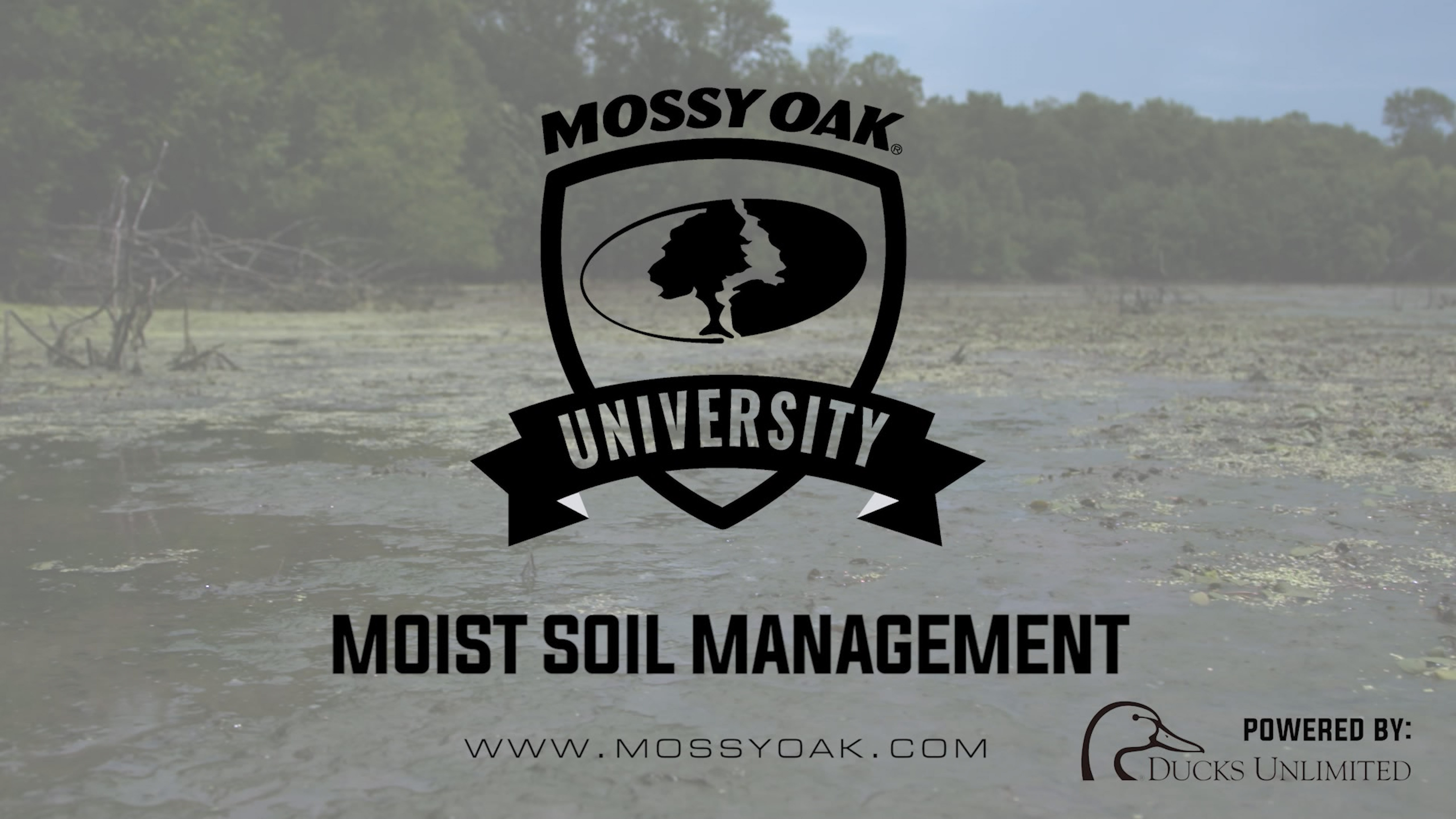 Moist Soil Management for Ducks - Waterfowl Management