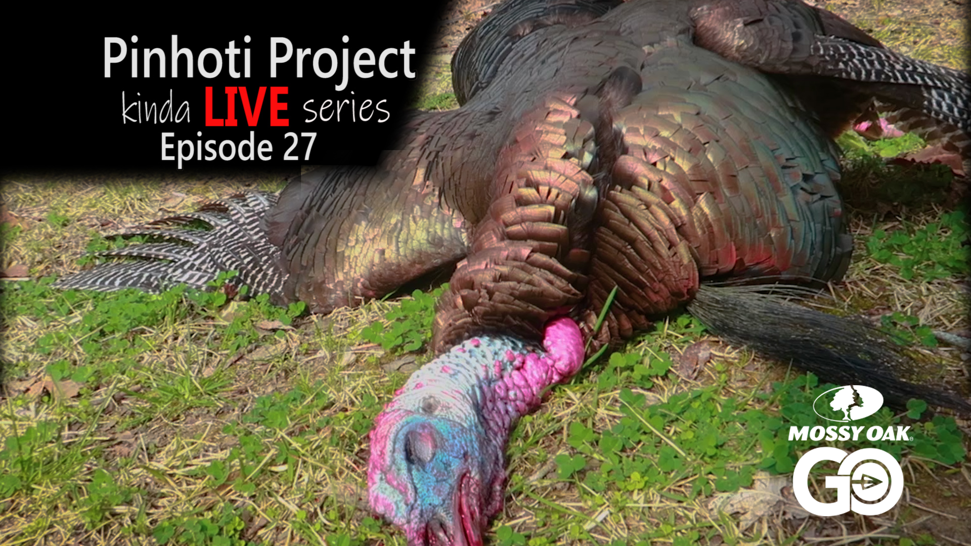 Kinda Live • Episode 27 • Pinhoti Project