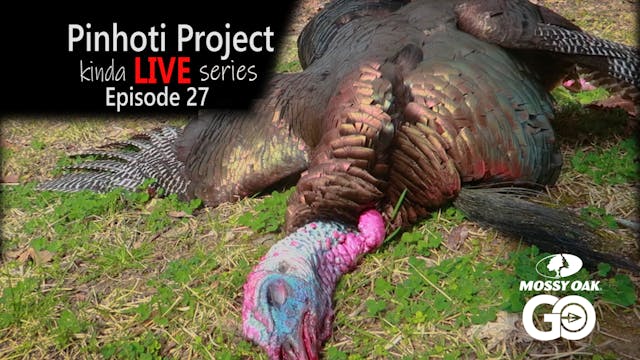 Kinda Live • Episode 27 • Pinhoti Pro...