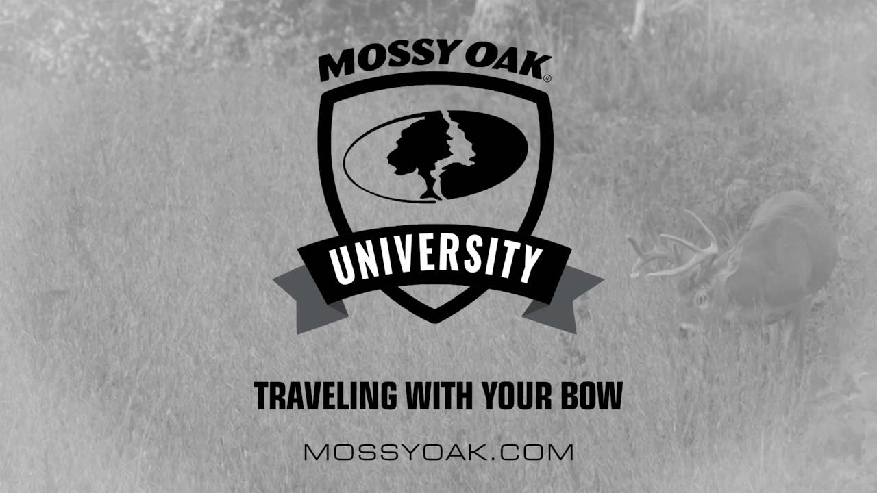 Best Way to Travel with a Bow • Mossy Oak University Mossy Oak GO