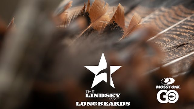 Timber Chaos • Lindsey Way Longbeards