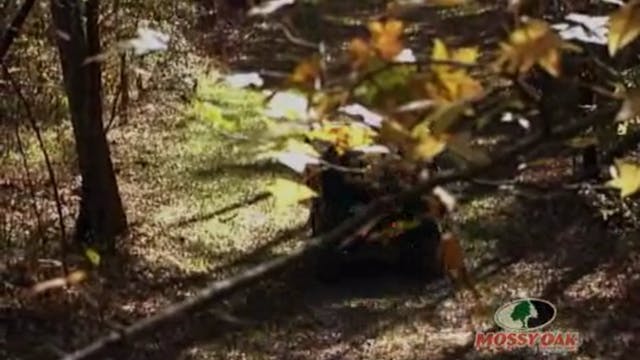 Mississippi Buck Blast • Big Whitetai...