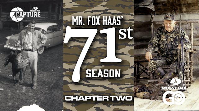 Mr. Fox Haas • 71st Season • Chapter ...