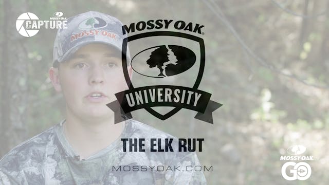 The Elk Rut • Mossy Oak Univeristy