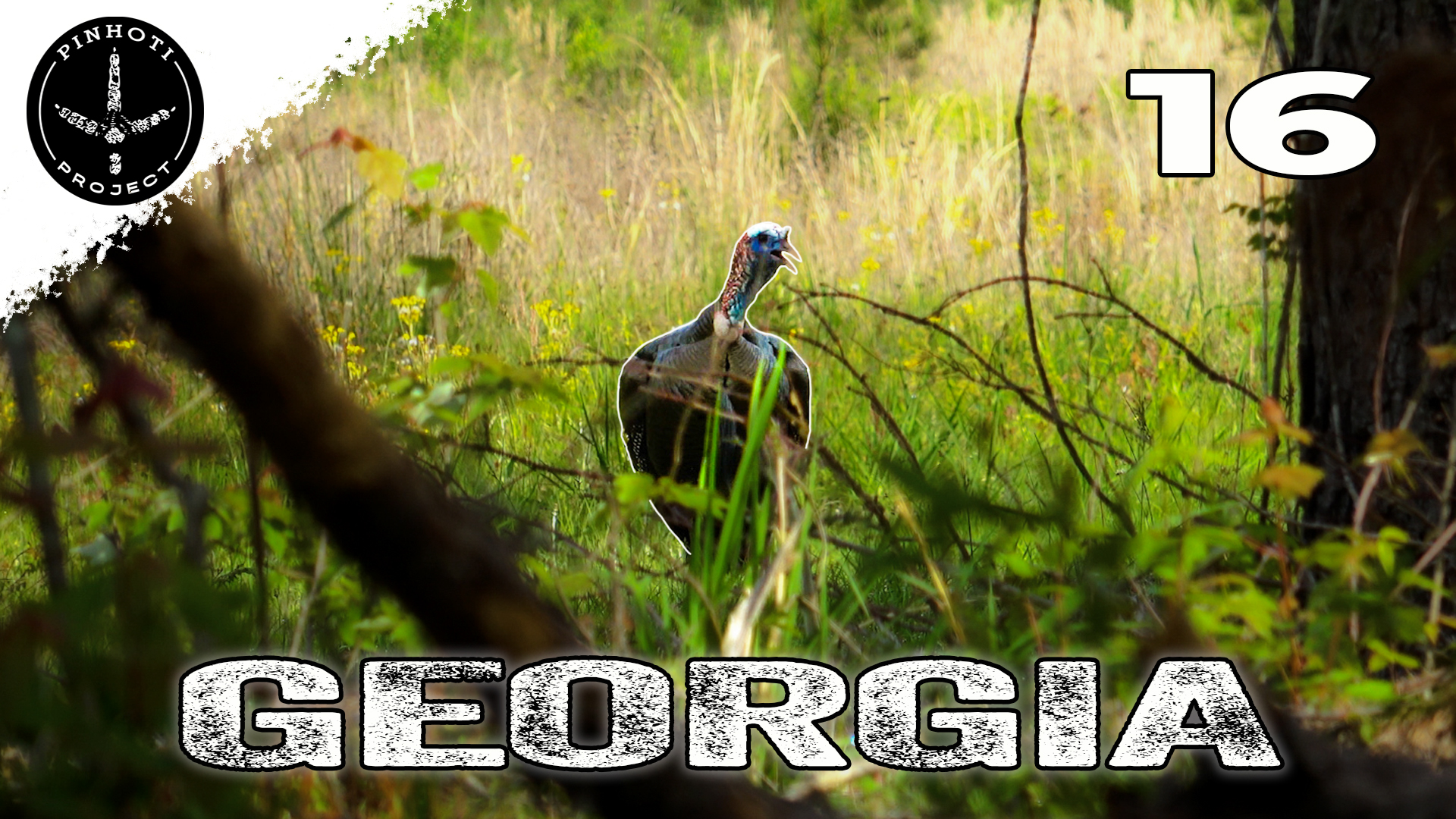Pinhoti 2024 Ep 16 • Pinhoti Project
