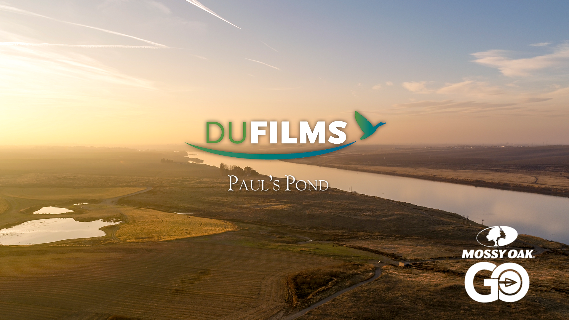 Paul's Pond • DU Films