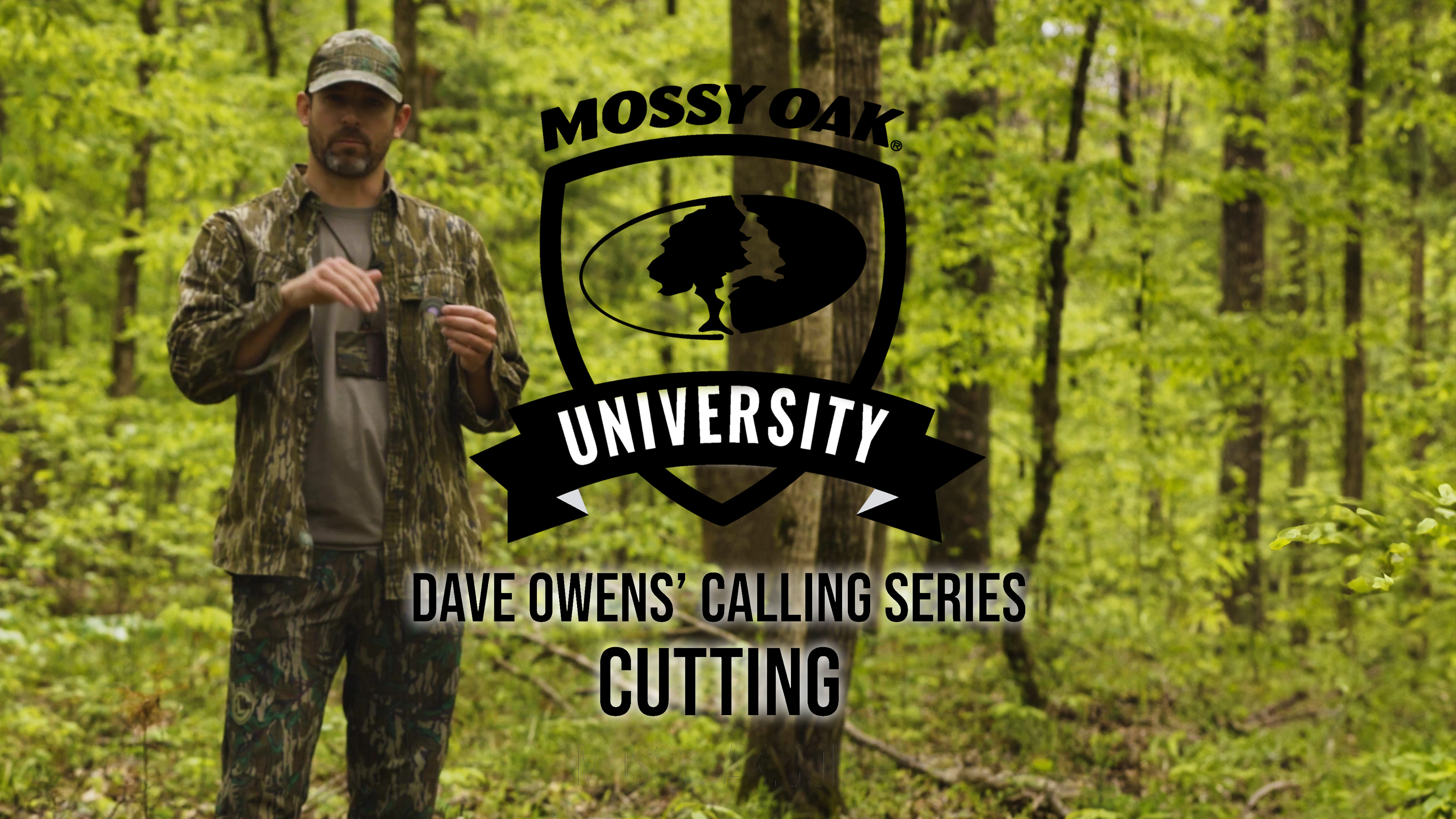 Dave Owens’ Turkey Calling Tips: CUTTING