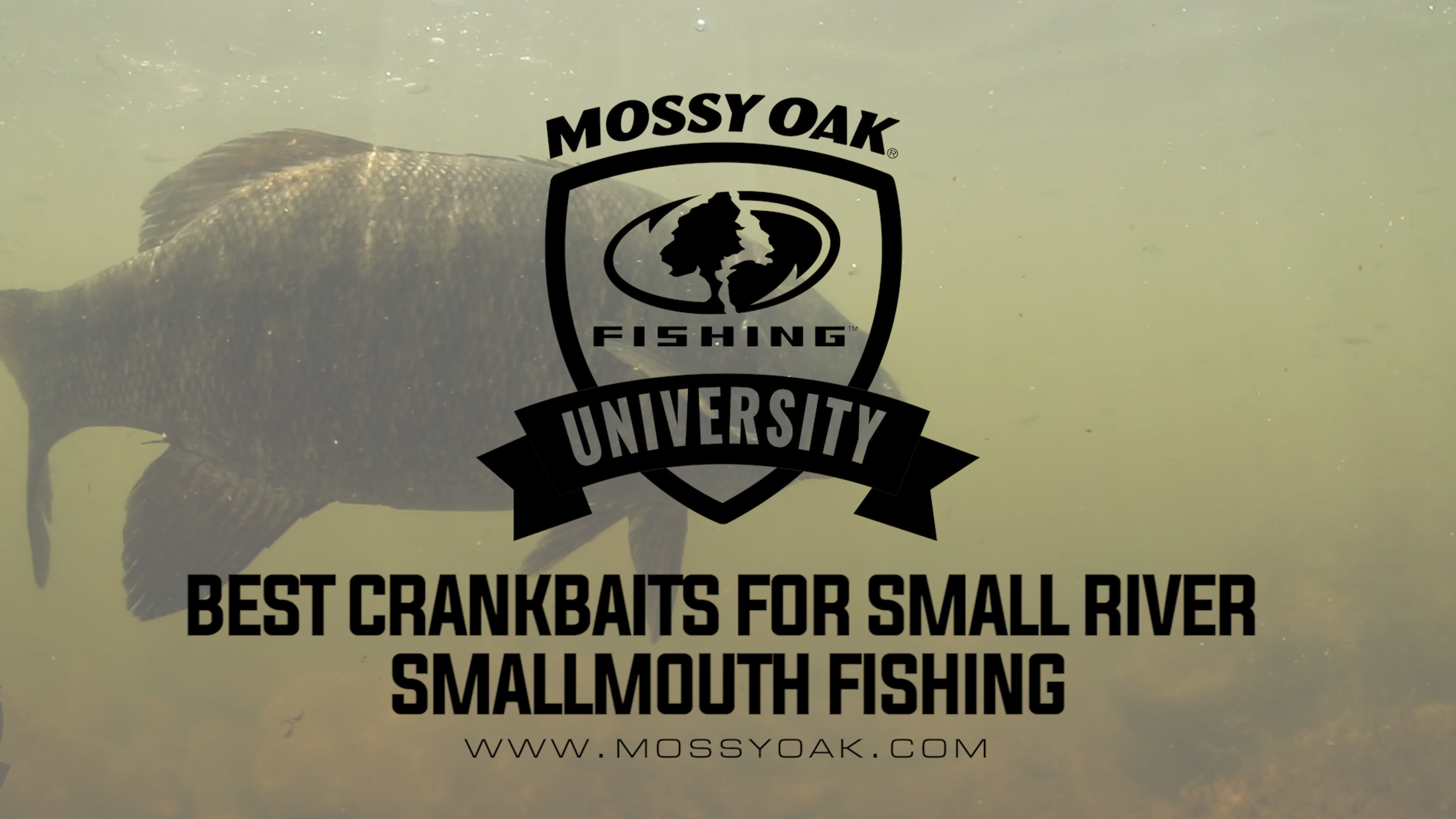 Crankbaits For Small River Smallmouth Bass