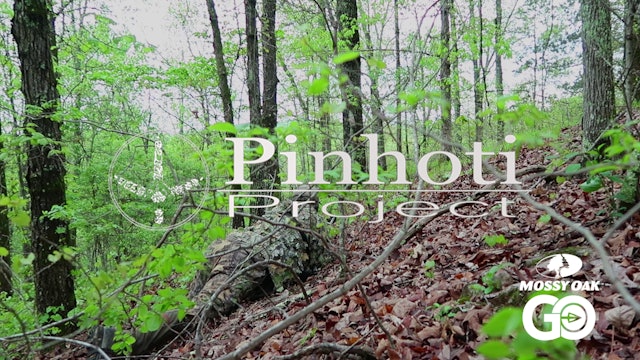 Self Filmed Public Land Turkey Hunt •Pinhoti Project Day 50