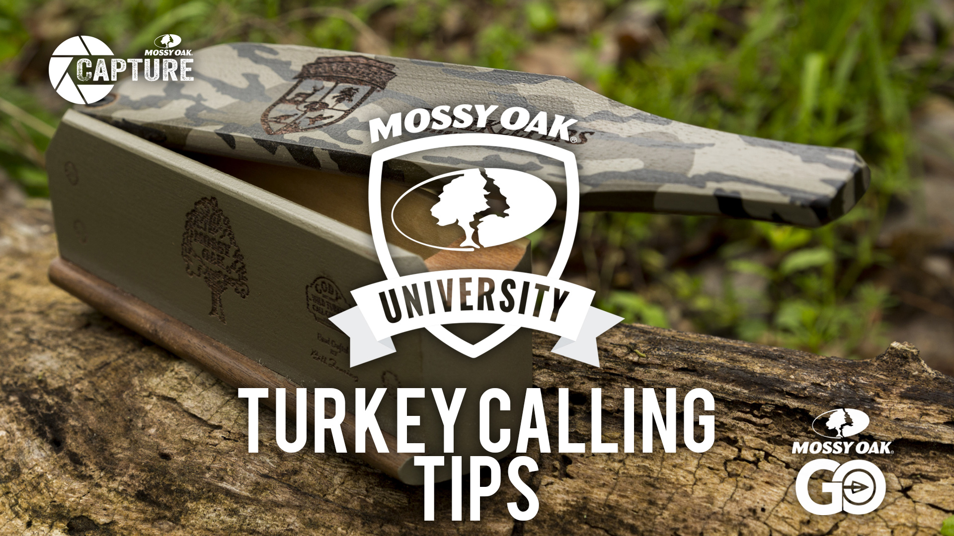 Turkey Calling Tips