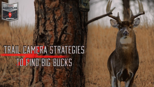 Trail Camera Strategies to Find Big Bucks • OnX Hunt Gameplan