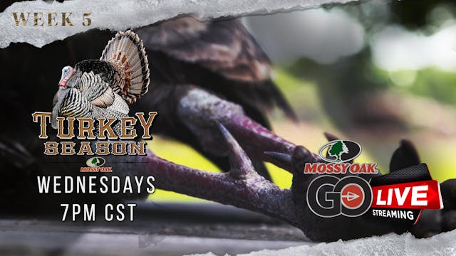 Live: 3.23.2022 Turkey Season LIVE Re...