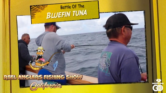 Battle of the Bluefin • Ranger 85 Sportfishing Reel Anglers Fishing Show