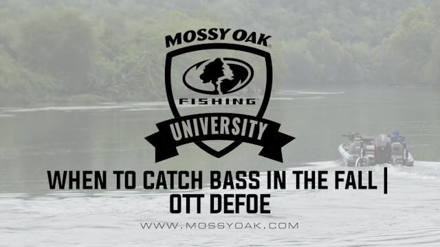 When to Catch Bass in the Fall - Ott ...