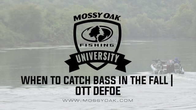 When to Catch Bass in the Fall - Ott DeFoe Fishing Tips
