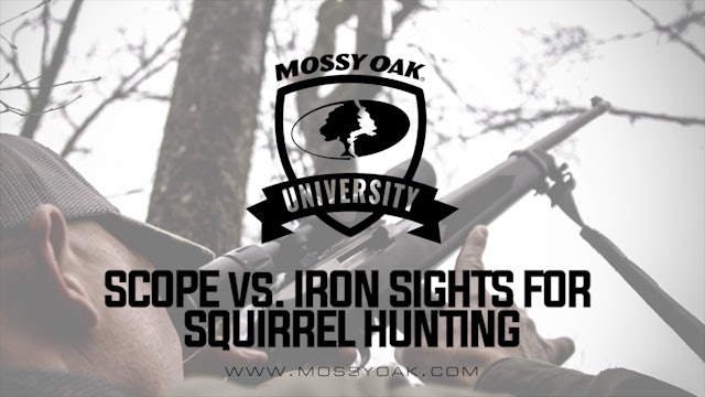Scope Vs. Iron Sights For Squirrel Hunting