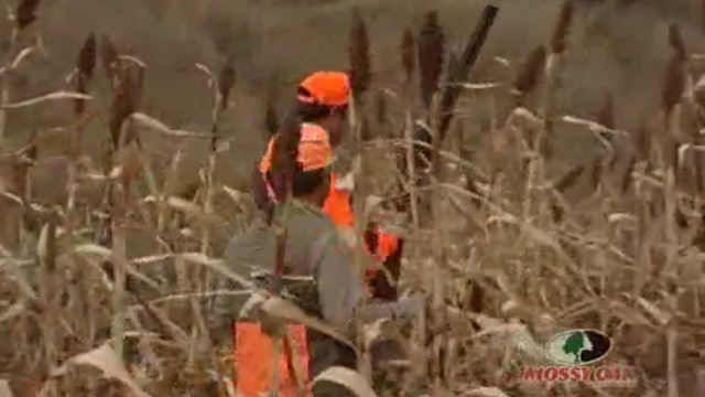 Nebraska Whitetails and Pheasants • Hunting Action on the Great Plains