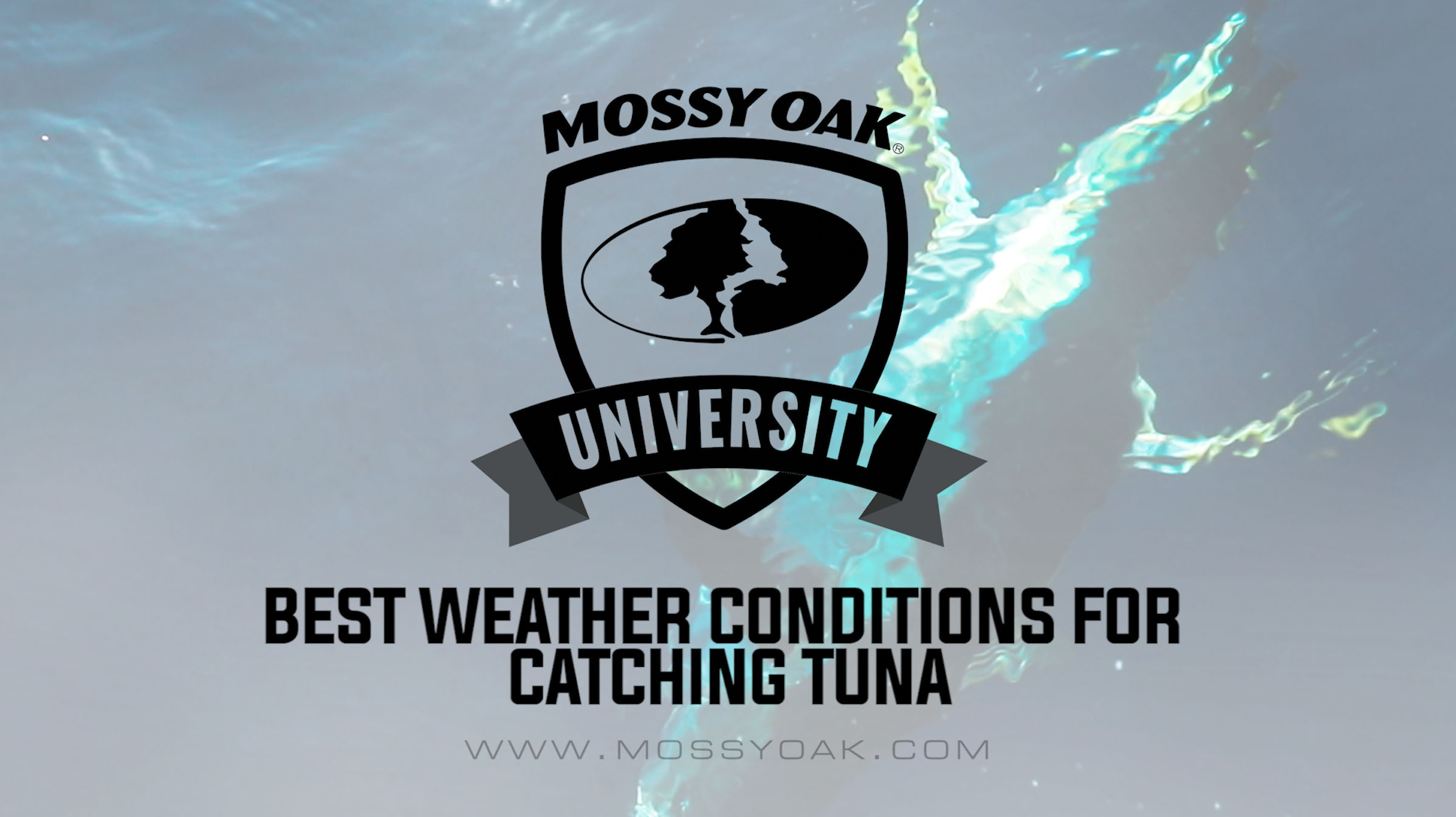 Best Conditions for Catching Yellowfin Tuna • Offshore Fishing Tip