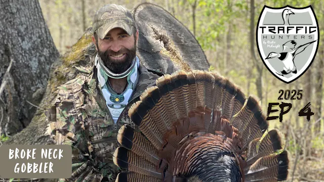 Broken Neck Gobbler • Traffic Hunters