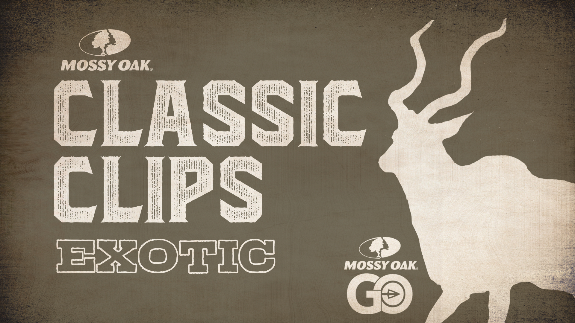 Classic Clips Exotic