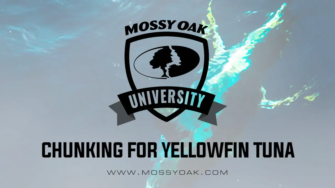 What is Chunking for Tuna • Offshore Fishing Tip - Mossy Oak GO