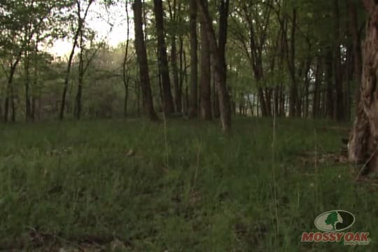 Ohio Turkey Flash Hunt