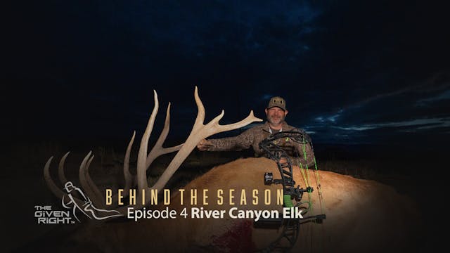 River Canyon Elk • Behind the Season