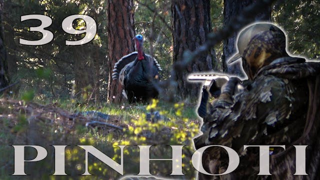 Pinhoti 2022 Ep 39 • Pinhoti Project