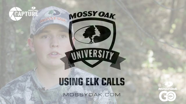 Using Elk Calls  • Mossy Oak Univeristy