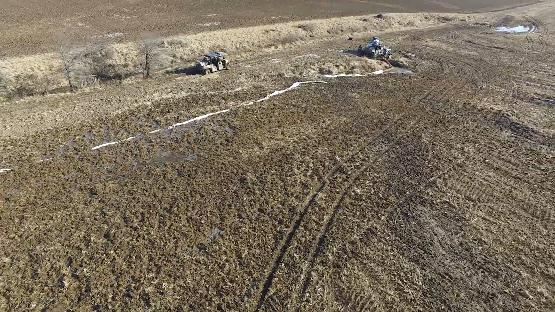 Arkansas Snow Geese • DU TV