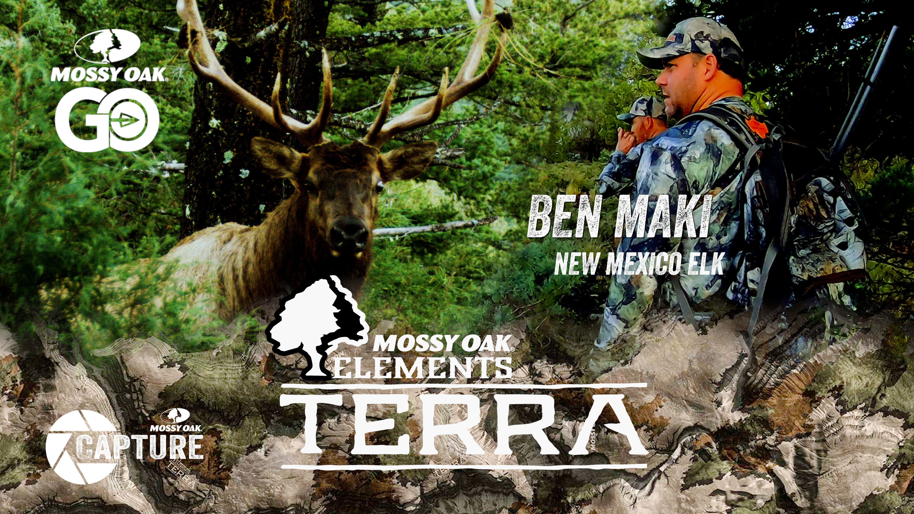Ben Maki • New Mexico Elk • Terra