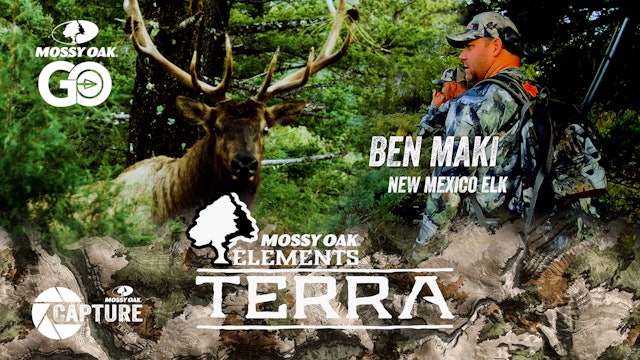 Ben Maki • New Mexico Elk • Terra
