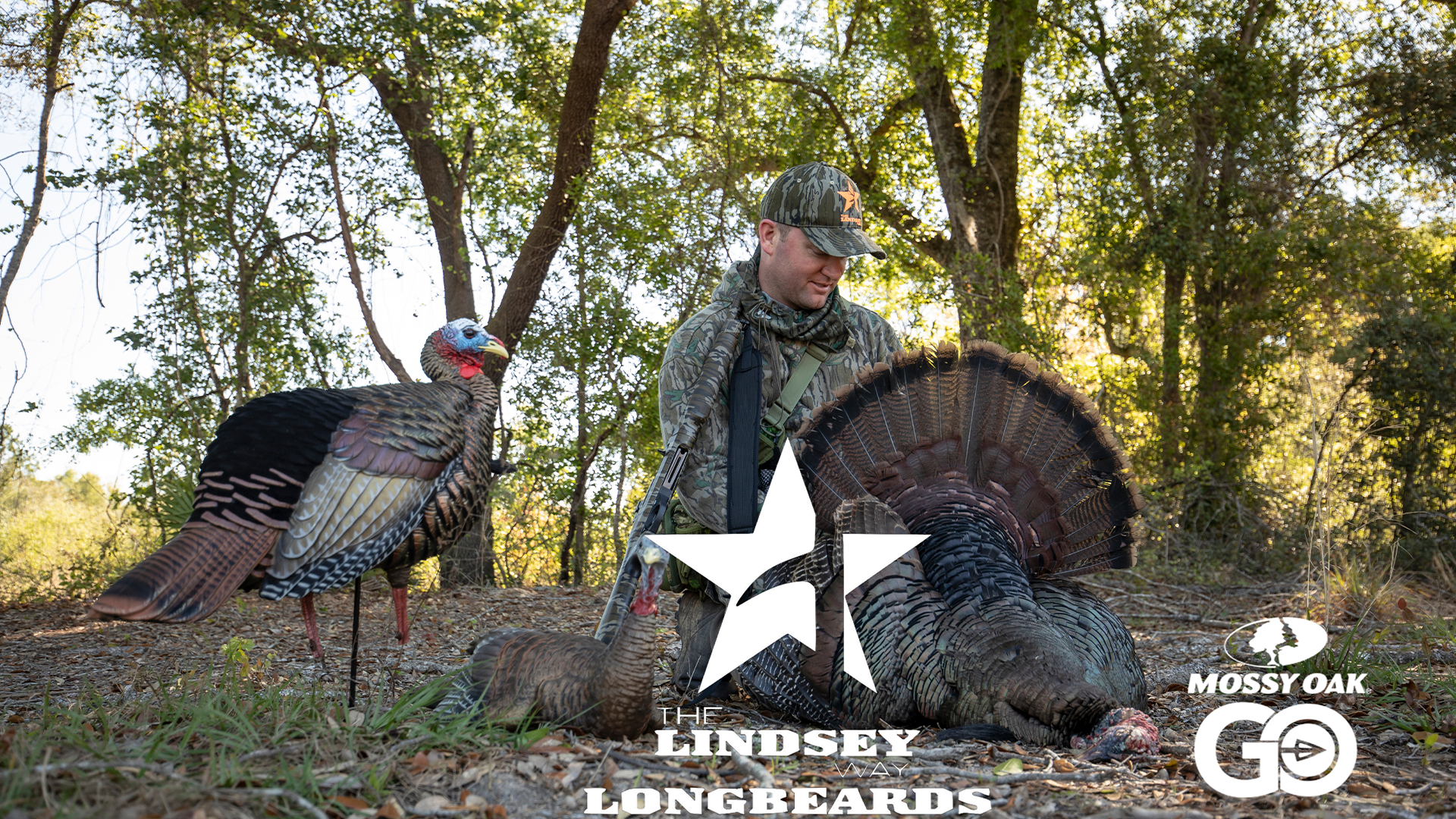 Blueberry Luck • Lindsey Way Longbeards