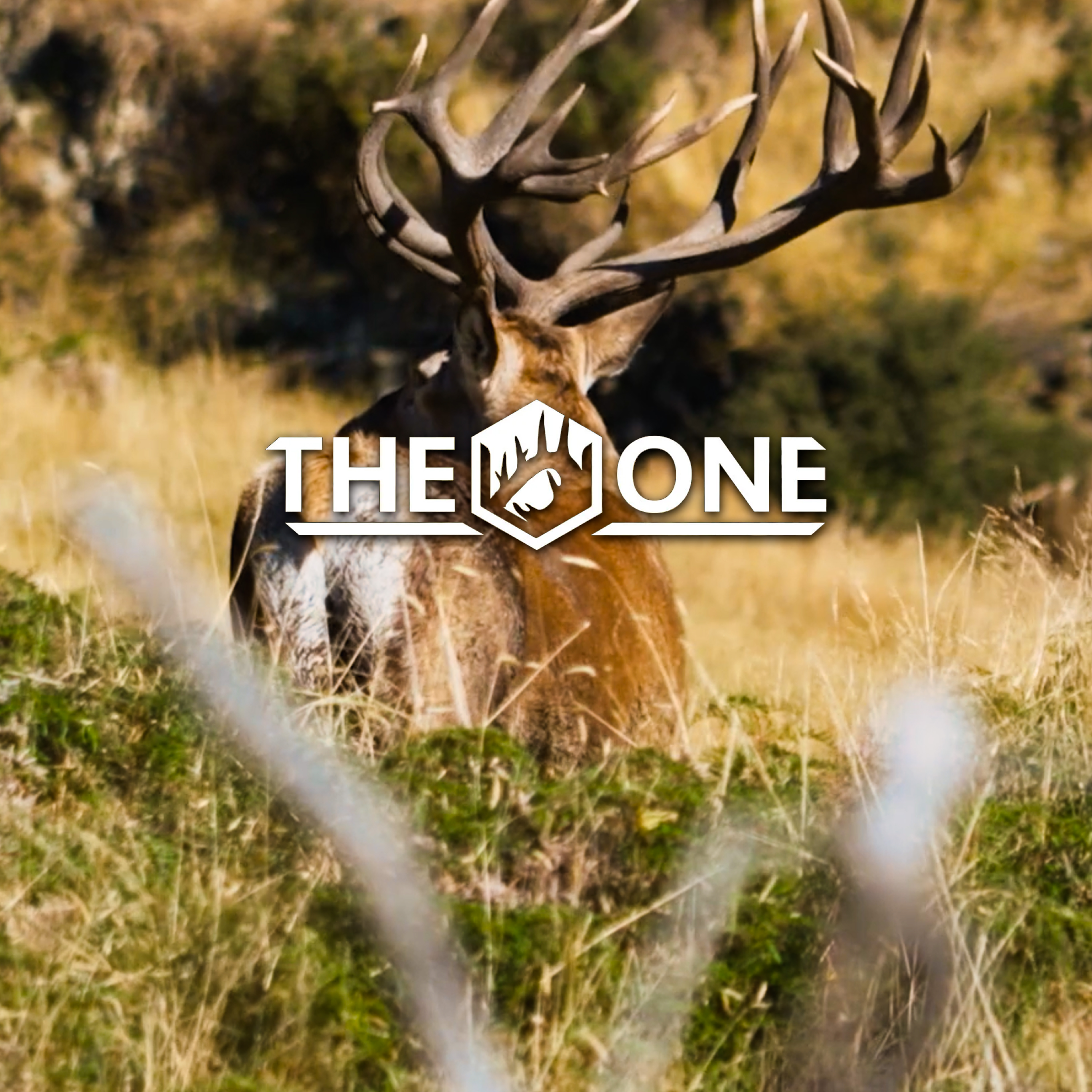 Stag Galore • The One