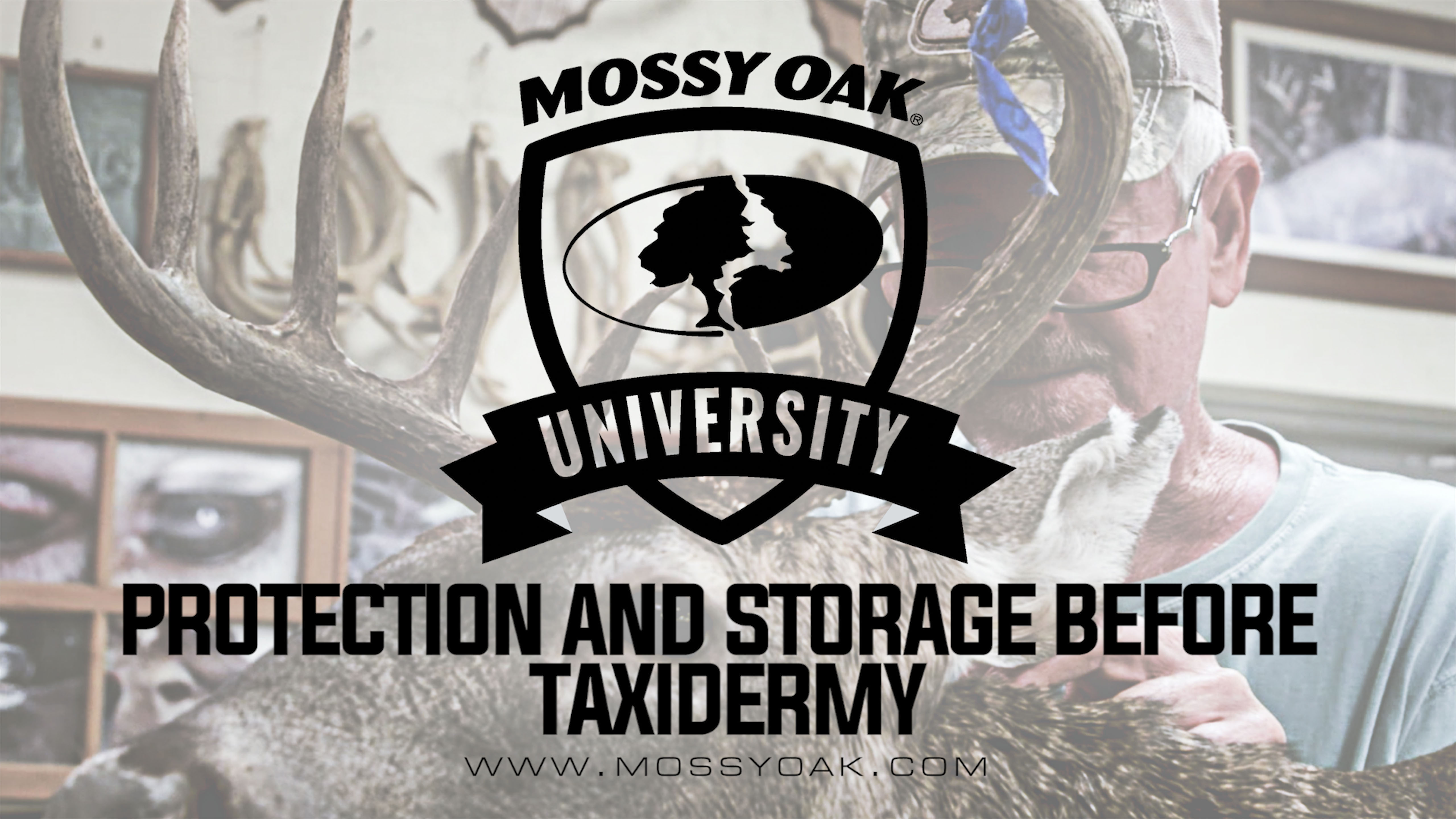 Protection and Storage Before Taxidermy