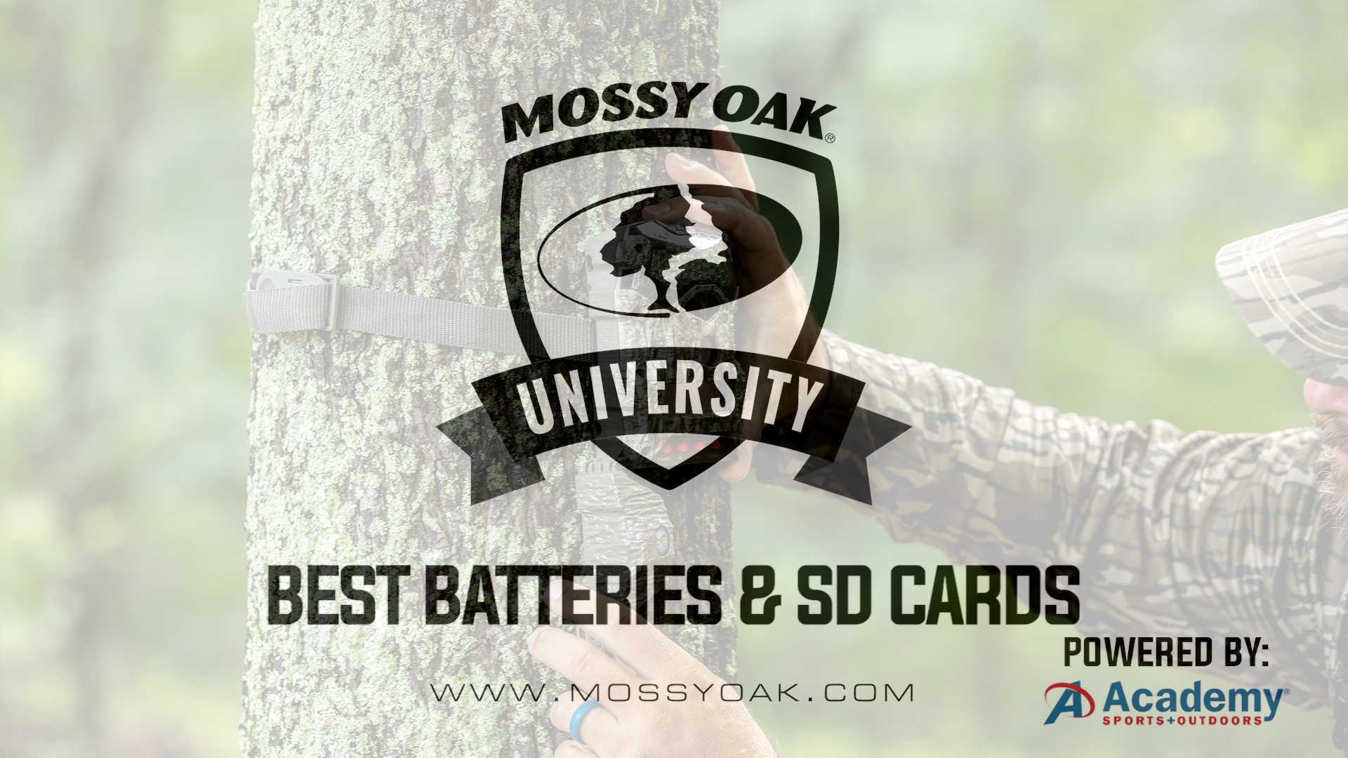 Best Batteries and SD Cards for Trail Cameras