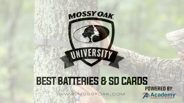 Best Batteries and SD Cards