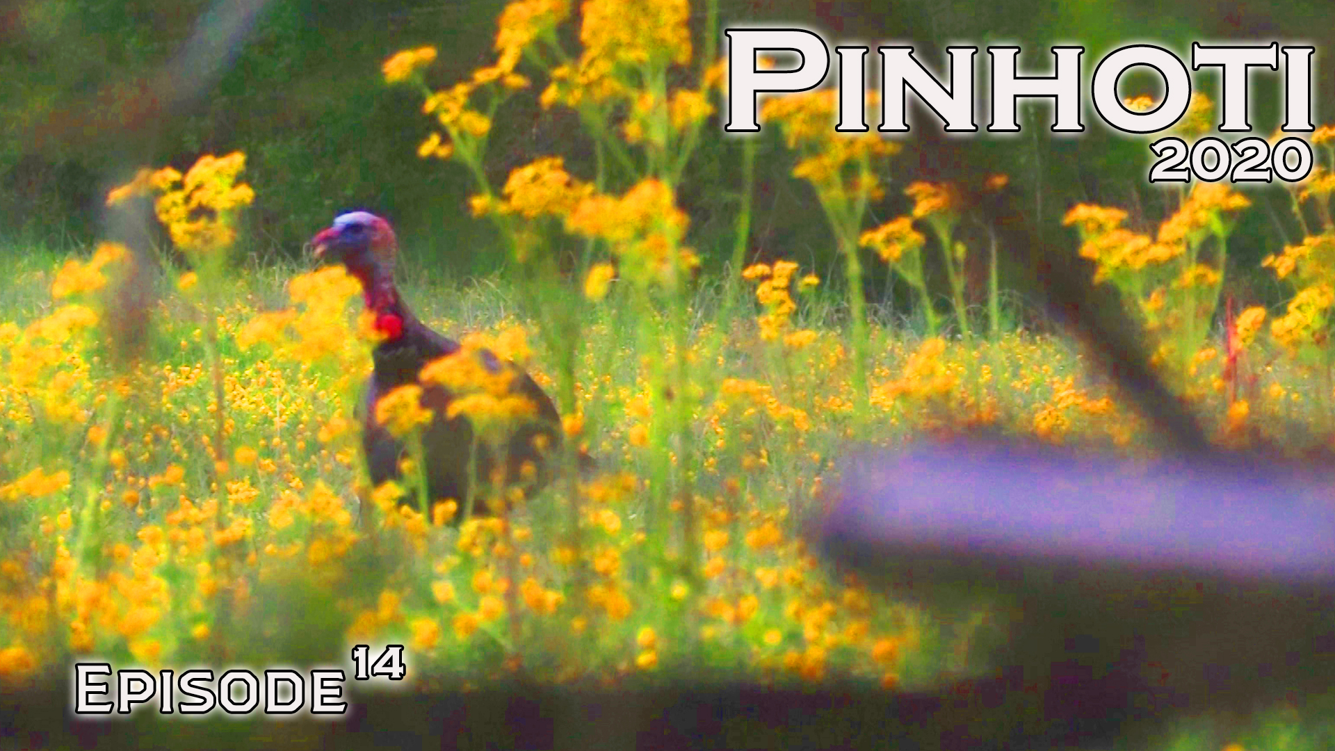 Pinhoti 2020 Ep 14 • Pinhoti Project