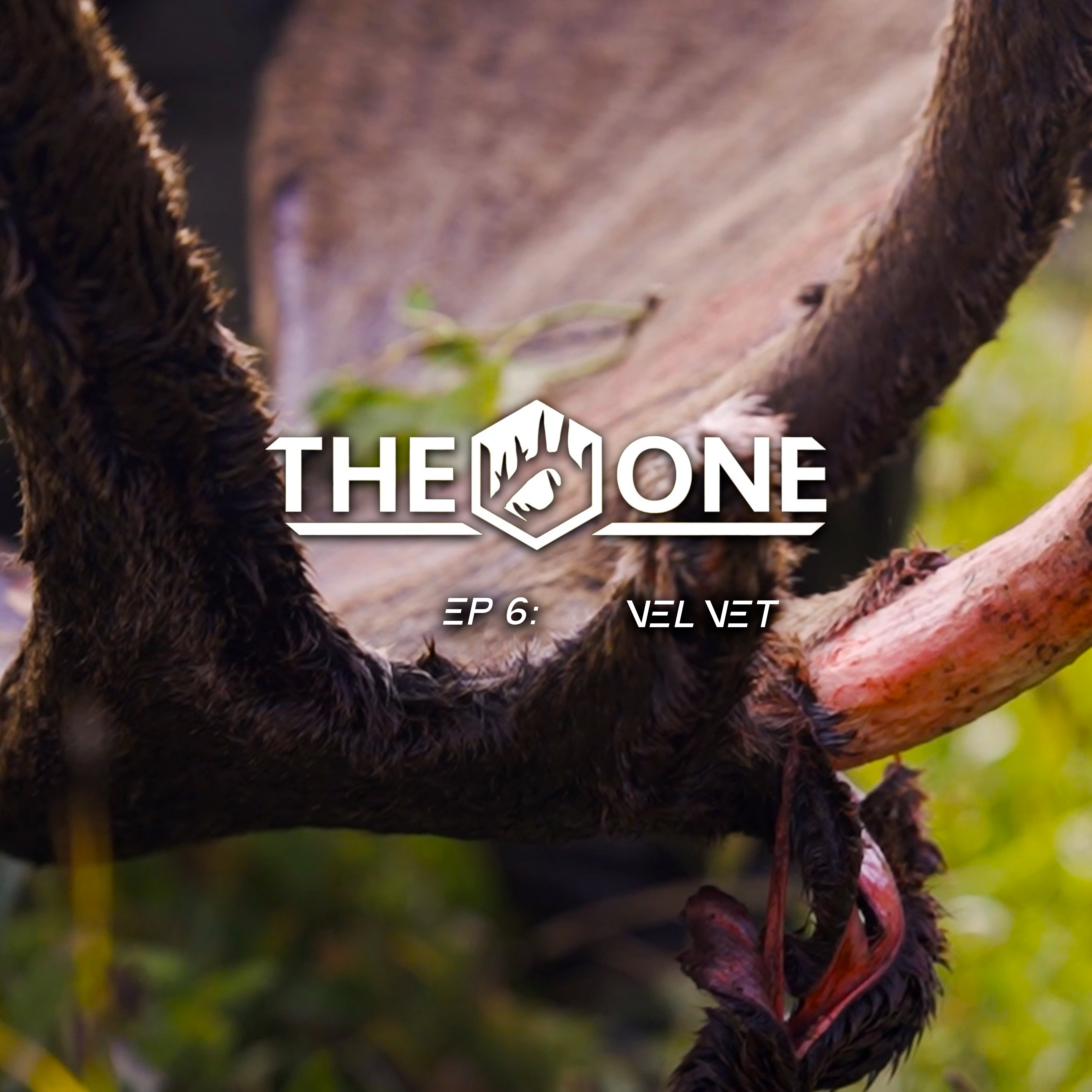 Velvet • The One