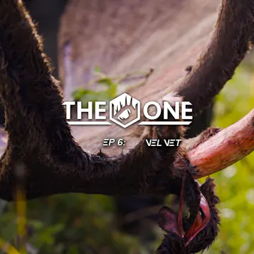 Velvet • The One