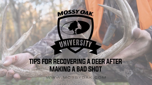 How to Recover A Deer When You Know Youve Made a Bad Shot