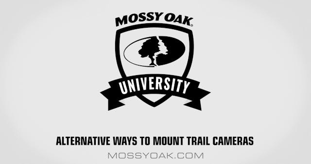 Alternative Ways to Mount Your Trail-...