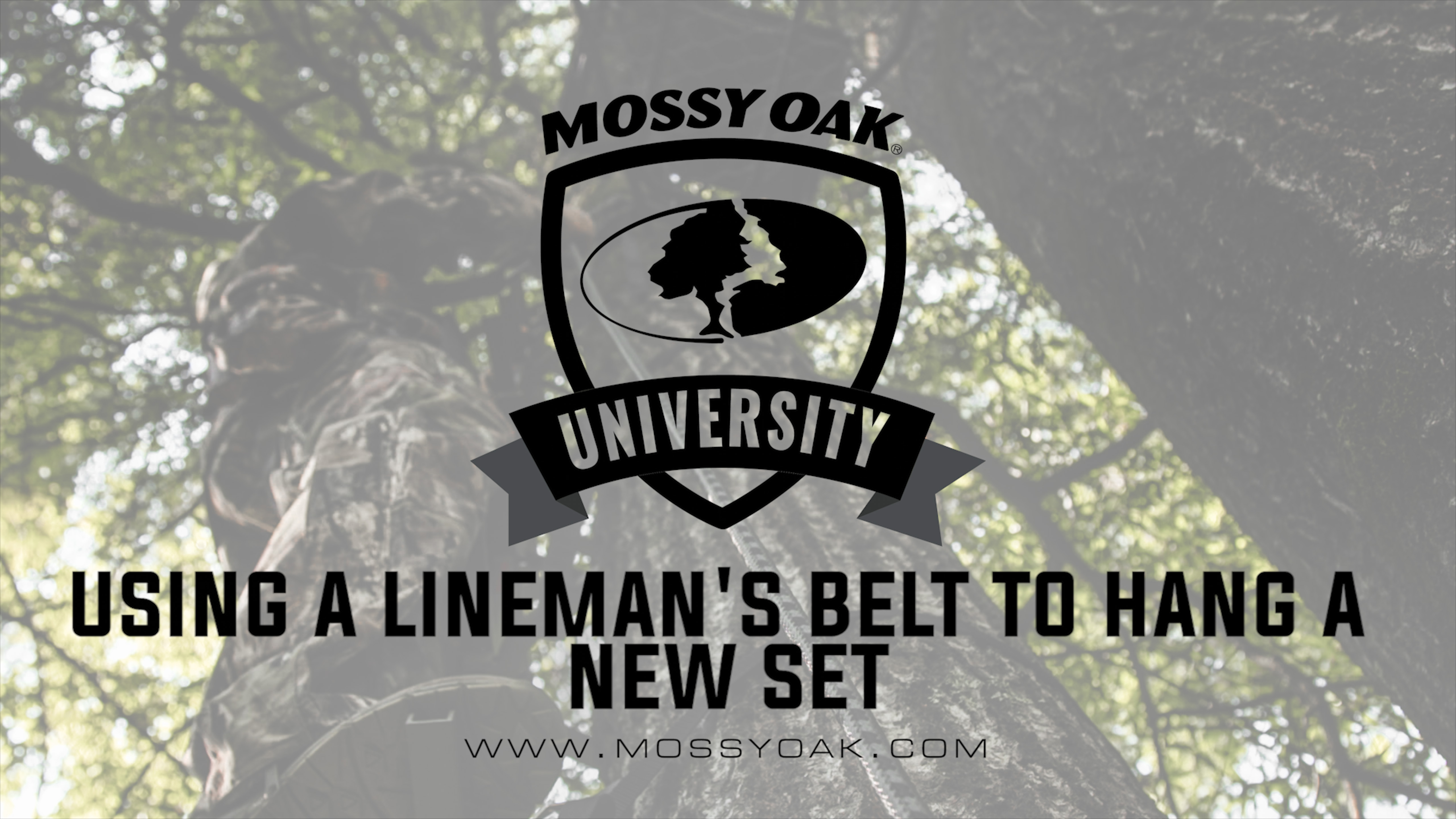 Using a Lineman's Belt When Hanging Hanging a New Set